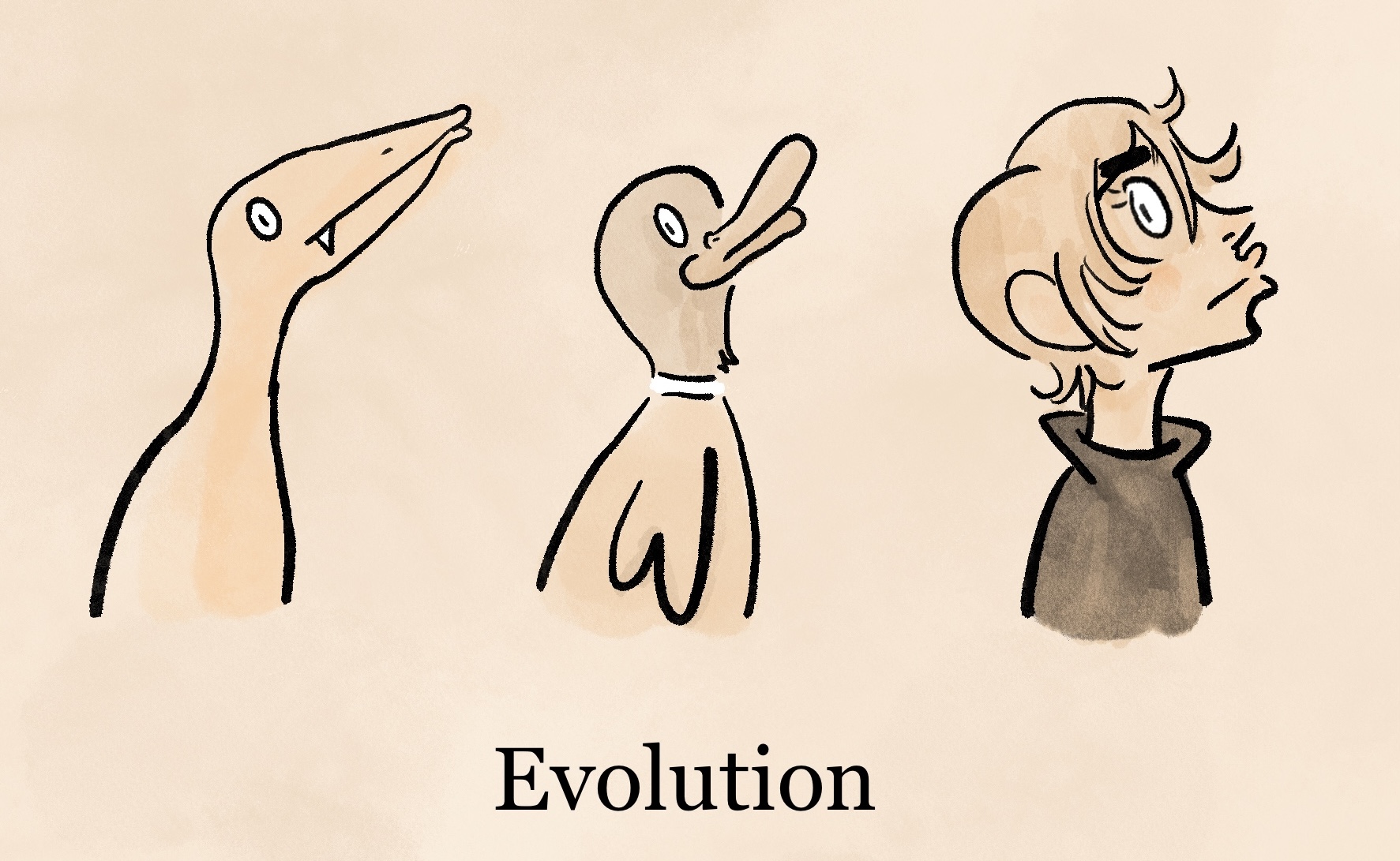 Evolution